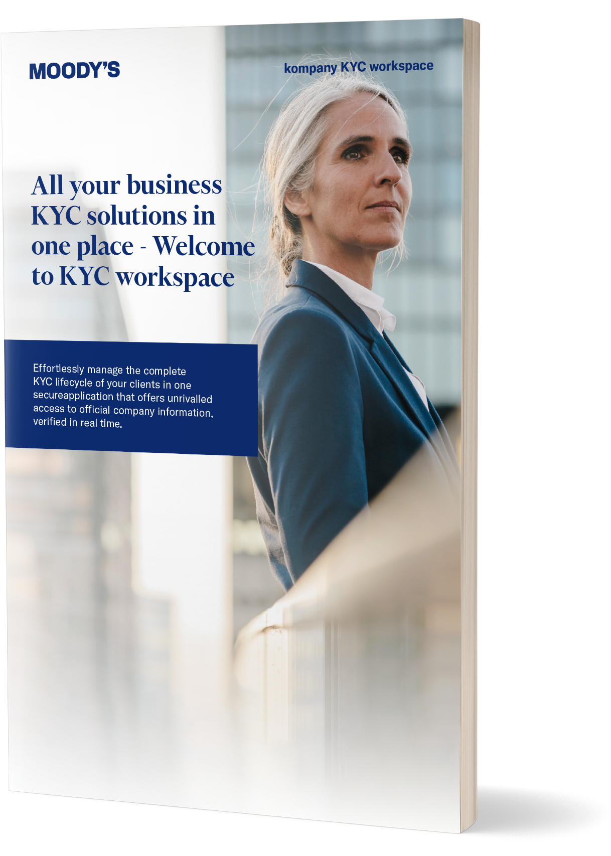 kompany KYC workspace brochure